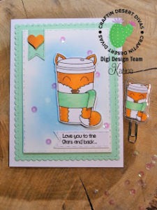 DT Post CDD – Foxy
