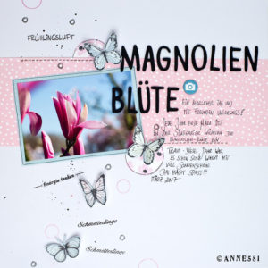 Magnolienblüte in der Wilhelma