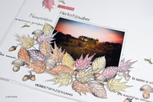 Herbstchallenge im SBT-Forum und von mir ein Step by Step Scrapbookinglayout dazu