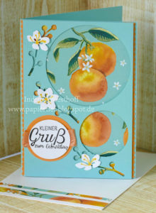 Kleiner Früchte-Gruß — Designerpapier "Allerliebst"