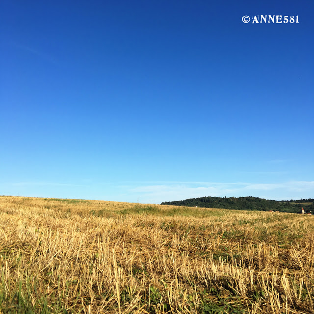 Sommer-Feeling mit dem August Monatsstempel