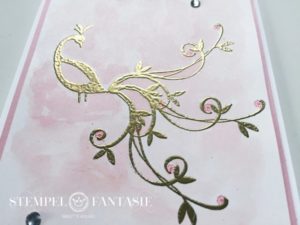 Pfauengruß – Sneakpeak auf die Sale-A-Bration 2018
