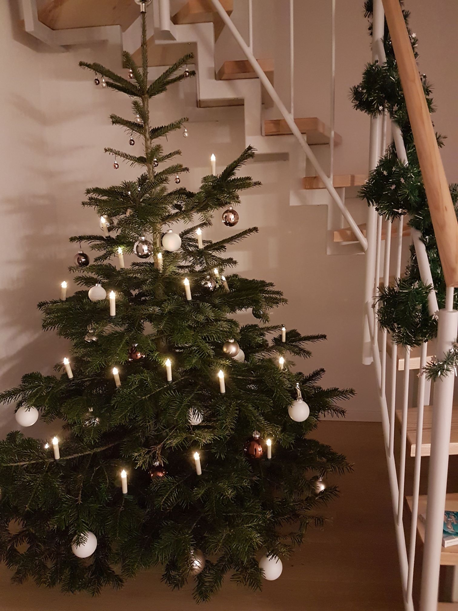 Frohe Weihnachten!