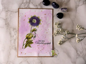 Passionsblume – DT Stempellädle