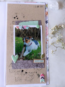 neues TN Layout – Toffy