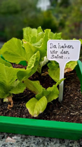 Wenn frau eigentlich keine Zeit hat…