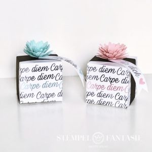 Carpe Diem-Box mit Video-Tutorial